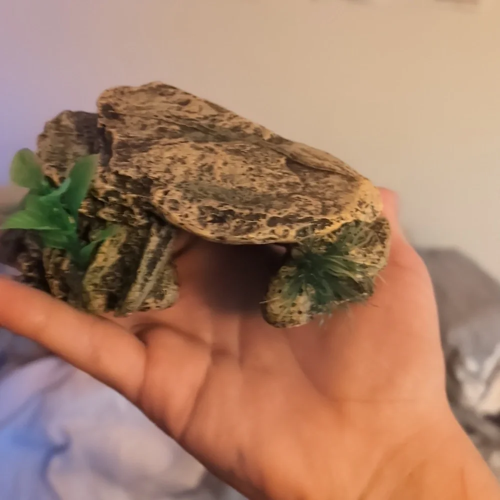 reptile supplies